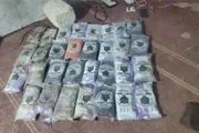 عرب تايم اخبار اليمن الان اخبار وتقارير سواحل حضرموت باتجاه اخبار اليمن الان الحدث اليوم عاجل عرب تايم