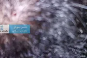 كريتر إسكاي اخبار اليمن الان مواطن للتنمر المدرسة ومعلمة اصابته اخبار اليمن الان الحدث اليوم عاجل كريتر إسكاي