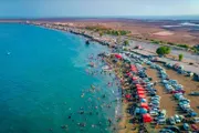 صحيفة الثورة صنعاء اخبار اليمن الان السواحل التوعوية والرقابية الحديدة التوالي اخبار اليمن الان الحدث اليوم عاجل صحيفة الثورة صنعاء