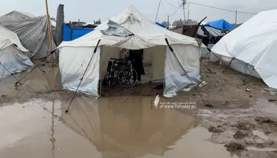 اخبار اليمن الان الصحة طفلين البرد الشديد القطاع اخبار اليمن الان الحدث اليوم عاجل