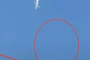 وكالة 2 ديسمبر اخبار اليمن الان إشارتها جيبوتي انتشار لسيارات الإسعاف اخبار اليمن الان الحدث اليوم عاجل وكالة 2 ديسمبر