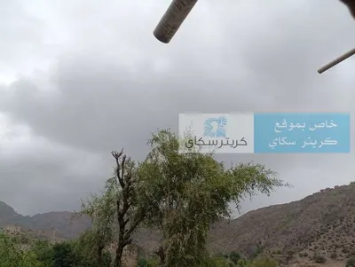 اخبار اليمن الان هطول امطار خفيفة قليل اخبار اليمن الان الحدث اليوم عاجل