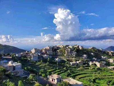 اخبار اليمن الان جريمة أسرية مروعة حيفان بتعز اخبار اليمن الان الحدث اليوم عاجل