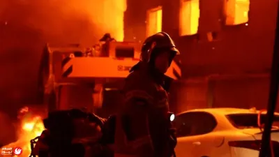 اخبار اليمن الان الخلود البيولوجي ملفات الساعة تقرير اخبار اليمن الان الحدث اليوم عاجل