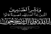 اخبار اليمن الان الحدث اليوم عاجل عدن تايم