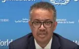 عدن تايم اخبار اليمن الان الصحة العالمية امرأة ويولد يوميا اخبار اليمن الان الحدث اليوم عاجل عدن تايم