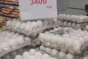 عرب تايم اخبار اليمن الان انخفاض أسعار البيض الأمل الأهالي اخبار اليمن الان الحدث اليوم عاجل عرب تايم