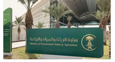 اخبار اليمن الان البيئة والمياه والزراعة برنامج الخريجين اخبار اليمن الان الحدث اليوم عاجل