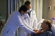 صحيفة المرصد اخبار اليمن الان زراعة خنزير بالفشل الكلوي امريكا اخبار اليمن الان الحدث اليوم عاجل صحيفة المرصد