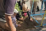 اخبار اليمن الان الحدث اليوم عاجل كريتر إسكاي