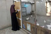 اخبار اليمن الان الحدث اليوم عاجل عرب تايم