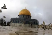 وكالة الصحافة اليمنية اخبار اليمن الان عدد29 يوما إغلاق الاقصى اخبار اليمن الان الحدث اليوم عاجل وكالة الصحافة اليمنية