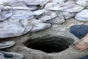اخبار اليمن الان الحدث اليوم عاجل صدى الساحل
