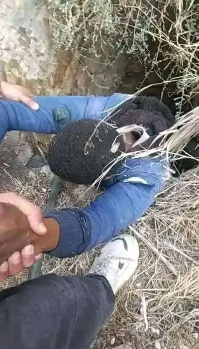 اخبار اليمن الان ساعة البئر نجاة بأعجوبة تهامة اخبار اليمن الان الحدث اليوم عاجل