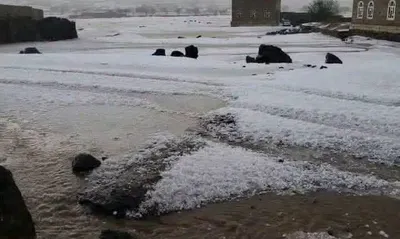 اخبار اليمن الان الحدث اليوم عاجل 