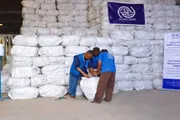 صدى الساحل اخبار اليمن الان مليوني ناموسية لمكافحة الملاريا وحماية اخبار اليمن الان الحدث اليوم عاجل صدى الساحل