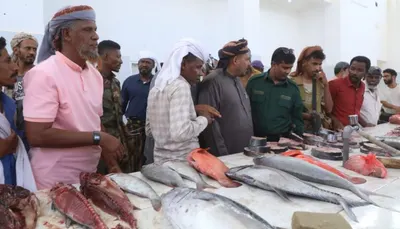 اخبار اليمن الان إماراتية تستحوذ الإنزال السمكي سقطرى اخبار اليمن الان الحدث اليوم عاجل