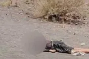 صدى الساحل اخبار اليمن الان جريمة البيضاء اعتداء بشاحنة مديرية اخبار اليمن الان الحدث اليوم عاجل صدى الساحل