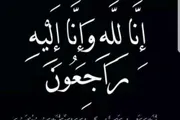 اخبار اليمن الان الحدث اليوم عاجل كريتر إسكاي
