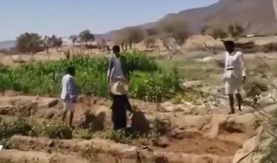 اخبار اليمن الان العيب الأسود ميليشيا الحوثي العاجز اخبار اليمن الان الحدث اليوم عاجل