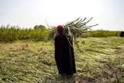 اخبار اليمن الان الحدث اليوم عاجل عدن تايم