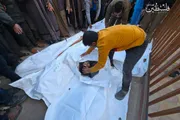 وكالة الصحافة اليمنية اخبار اليمن الان جديد القتل الإسرائيلية شهيدا وإصابة اخبار اليمن الان الحدث اليوم عاجل وكالة الصحافة اليمنية