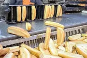اخبار اليمن الان الحدث اليوم عاجل كريتر إسكاي