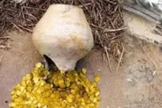 صحيفة المرصد اخبار اليمن الان حقيقة الذهب القاتل مغارات الأردن اخبار اليمن الان الحدث اليوم عاجل صحيفة المرصد