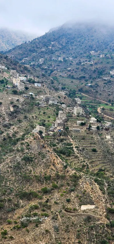 اخبار اليمن الان الأرصاد تدريجي الغبار المرتفعات والصحارى اخبار اليمن الان الحدث اليوم عاجل