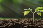 اخبار اليمن الان الحدث اليوم عاجل معين برس