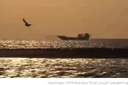 اخبار اليمن الان الحدث اليوم عاجل صدى الساحل