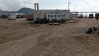 اخبار اليمن الان يحدث واسعة لتنظيف الأسماك البريقة اخبار اليمن الان الحدث اليوم عاجل