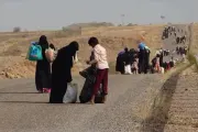 وكالة 2 ديسمبر اخبار اليمن الان النازحين التصعيد الحوثي الساحل الغربي اخبار اليمن الان الحدث اليوم عاجل وكالة 2 ديسمبر
