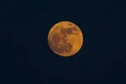 عرب تايم اخبار اليمن الان الفراولة يزين سماء العالم الجاري اخبار اليمن الان الحدث اليوم عاجل عرب تايم