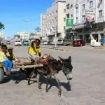 اخبار اليمن الان موجعة السعودية الحمير والجمال والمياه اخبار اليمن الان الحدث اليوم عاجل