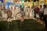 صدى الساحل اخبار اليمن الان البيضاني الجالية اليمنية احتفالات السعودي اخبار اليمن الان الحدث اليوم عاجل صدى الساحل