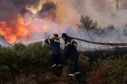 عاجل السعودية اخبار اليمن الان اعتقال إسرائيلي اليونانية التسبب الغابات اخبار اليمن الان الحدث اليوم عاجل عاجل السعودية