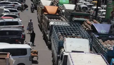 اخبار اليمن الان الحدث اليوم عاجل 