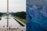 السلام نيوز اخبار اليمن الان أولمبي الاتهام قانوني لينكولن التذكاري اخبار اليمن الان الحدث اليوم عاجل السلام نيوز
