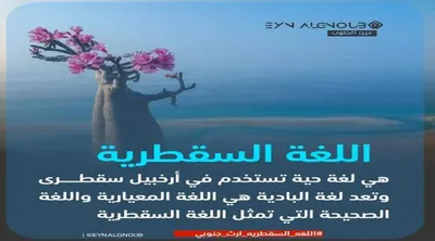 اخبار اليمن الان اللغة السقطرية وتاريخ سقطرى الجنوبية اخبار اليمن الان الحدث اليوم عاجل