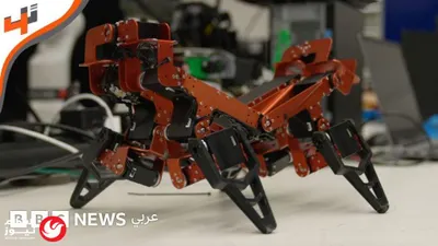 اخبار اليمن الان إعصار فيتنام والصين فيضانات وعمليات اخبار اليمن الان الحدث اليوم عاجل