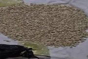 عدن تايم اخبار اليمن الان إحباط الحبوب المخدرة المتجهة للسعودية اخبار اليمن الان الحدث اليوم عاجل عدن تايم