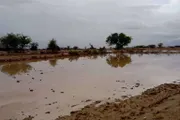 اخبار اليمن الان الحدث اليوم عاجل كريتر إسكاي