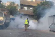 كريتر إسكاي اخبار اليمن الان البيئة لمكافحة البعوض الناقل للأمراض اخبار اليمن الان الحدث اليوم عاجل كريتر إسكاي
