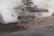 عدن تايم اخبار اليمن الان صورة الاهمال الشارع الرئيسي بالمعلا اخبار اليمن الان الحدث اليوم عاجل عدن تايم