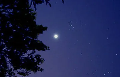 اخبار اليمن الان فلكية جدة عطارد يزين سماء اخبار اليمن الان الحدث اليوم عاجل