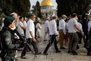 عاجل السعودية اخبار اليمن الان الأوقاف الفلسطينية اقتحاما الأقصى الإبراهيمي اخبار اليمن الان الحدث اليوم عاجل عاجل السعودية
