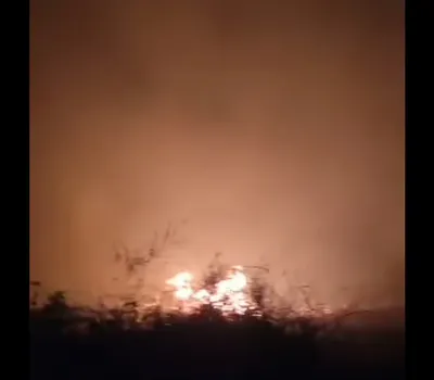 اخبار اليمن الان أبين حريق يلتهم مزارع الكود اخبار اليمن الان الحدث اليوم عاجل