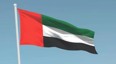اخبار اليمن الان الإمارات السيبراني التصدي محاولة استهدفت اخبار اليمن الان الحدث اليوم عاجل