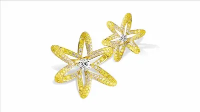 اخبار اليمن الان الجرأة الرقي تصاميم chopard والتميز اخبار اليمن الان الحدث اليوم عاجل